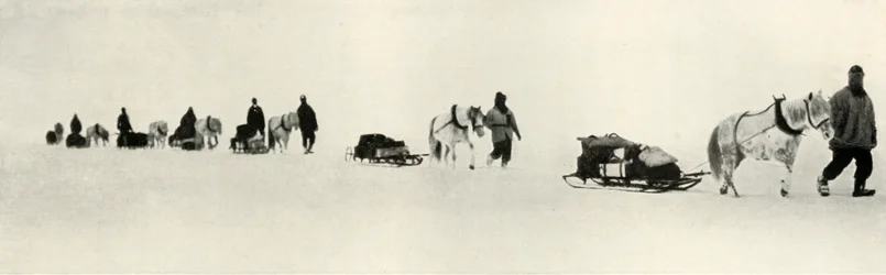 Pôneis em março de 1911, 1913