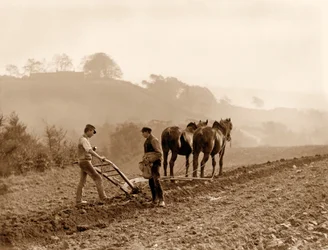 Agricultores arando um campo em Lealholm Hall Farm, Whitby. c.1889