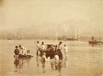 Ratos de rio