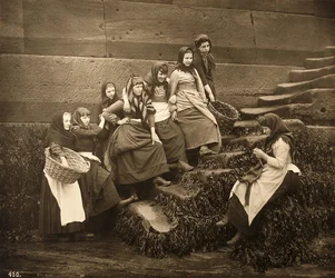 Mulheres, esperando, para, a, dias, apanhar, whitby, porto, yorkshire norte, c.1899