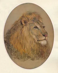 Cabeça do Lions, c1896