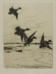 paisagem