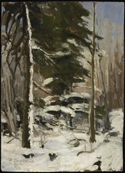 Borda da Madeira, c.1914
