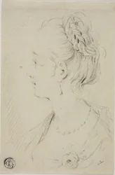 Busto de perfil de mulher jovem
