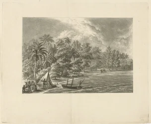 Paisagem tropical