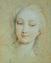 A cabeça de Vênus