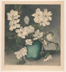 Magnoliatacken