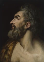 Cabeça de estudo de um homem barbudo, c.1565 (óleo no painel)