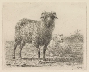 Carneiro e ovelha
