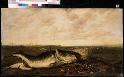 Peixe e lagosta na praia (peixe e lagosta na praia). Pintura de Frans Ryckhals (depois de 1600-1647). Óleo sobre tela, 47 x 83,5 cm
