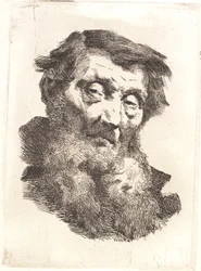 Velho com barba grisalha em duas partes