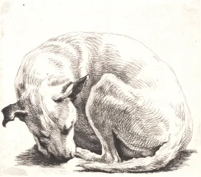 Prato de amostra: um cachorro
