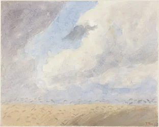 Wheatfield