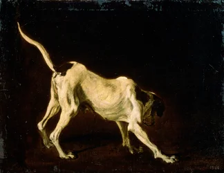 Um cão, século XVII
