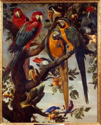 Papagaios e outras aves Pintura por Frans Snyders (1579-1657) Sol do século XVII. 1,22x0,98 m Grenoble, Musee des Beaux Arts