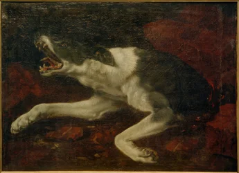 Cão ferido