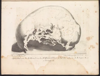 Crânio de São Rumoldus, 1825
Imagem do osso pélvico de São Rumoldus como no Baú Relíquico (título sobre o objecto)