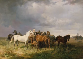 Cavalos no Puszta