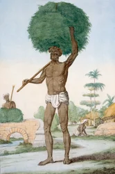 Servo Hindu cortando grama, &39;Os Hindus, ou a Descrição de Suas Maneiras, Trajes e Cerimônias&39;, c.1808-12 (gravura colorida)