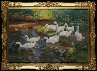 Família de pato (patos com filhotes na margem do rio)