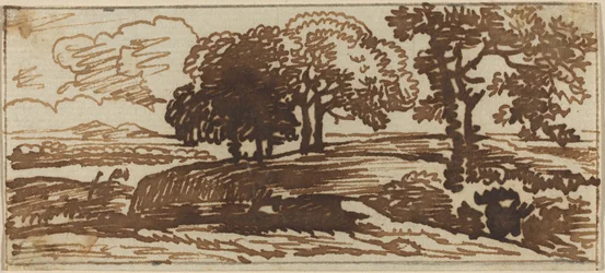 Paisagem