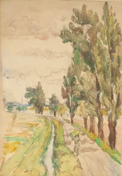 estrada rural com árvores