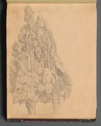 Álbum com Vistas de Roma e Arredores, Estudos Paisagísticos, página 13a: Árvores.