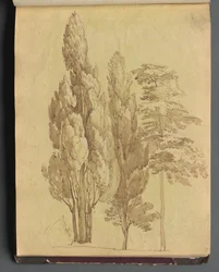 Álbum com vistas de Roma e arredores, Estudos de paisagem, página 15a: Árvores
