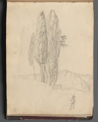 Álbum com Vistas de Roma e Arredores, Estudos Paisagísticos, página 20a: Árvores.