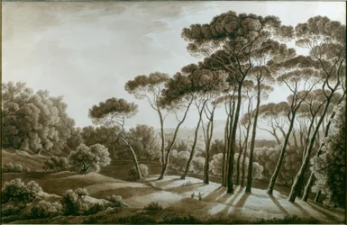 Os pinheiros da Villa Doria Pamphili