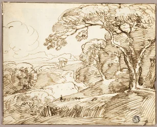 Paisagem panorâmica
