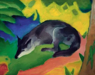Raposa (raposa azul-preta)