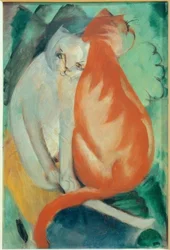 Gatos, vermelho e branco