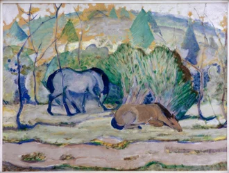 Cavalos no pasto