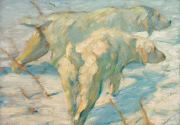 Cães de pastor siberiano (cães siberianos na neve)
