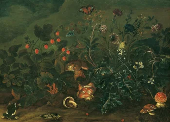 Relvado com morangos e agaricus