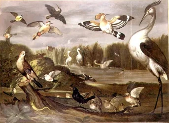 Paisagem fluvial com um gaio, um stonechat, um pato-real, um rabo-de-cavalo e outras aves
