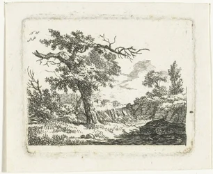 Paisagem com árvore com dois galhos mortos