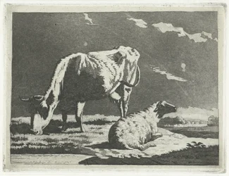 Paisagem com vaca e ovelha