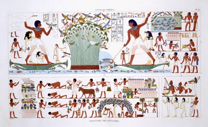 Preparar alimentos para mortos, a partir de um Registo Raro de Frescos de Tebas, gravado em 1819-1822 na sua segunda visita ao Egipto por Frederic Cailliaud (1787-1869), cor litho