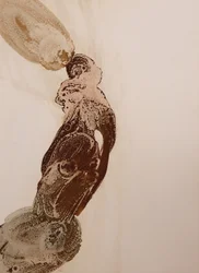 Conexão Humana Orgânica