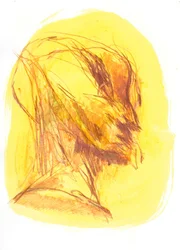 O Retrato 1