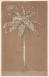 Vamos, Pâm. Sulus, Jamaica