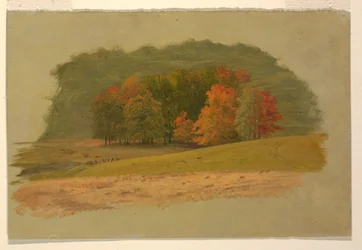 Paisagem de outono