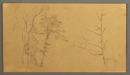 Desenho, Um grupo de árvores com a parte superior de uma árvore morta, 1866