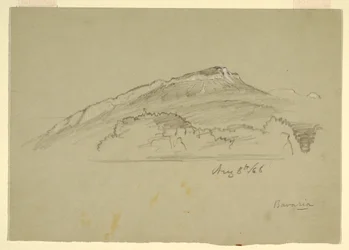 Desenho, Uma árvore, Baviera, 8 de agosto de 1868