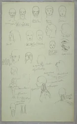 Desenho, Estudos Anatómicos, 1865-70