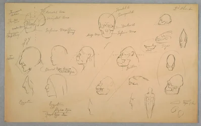 Desenho, Estudos Anatómicos, 1865-70