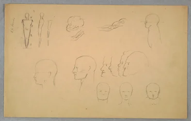 Desenho, Estudos Anatómicos, 1865-70