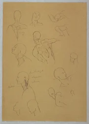 Desenho, Estudos Anatómicos, 1865-70